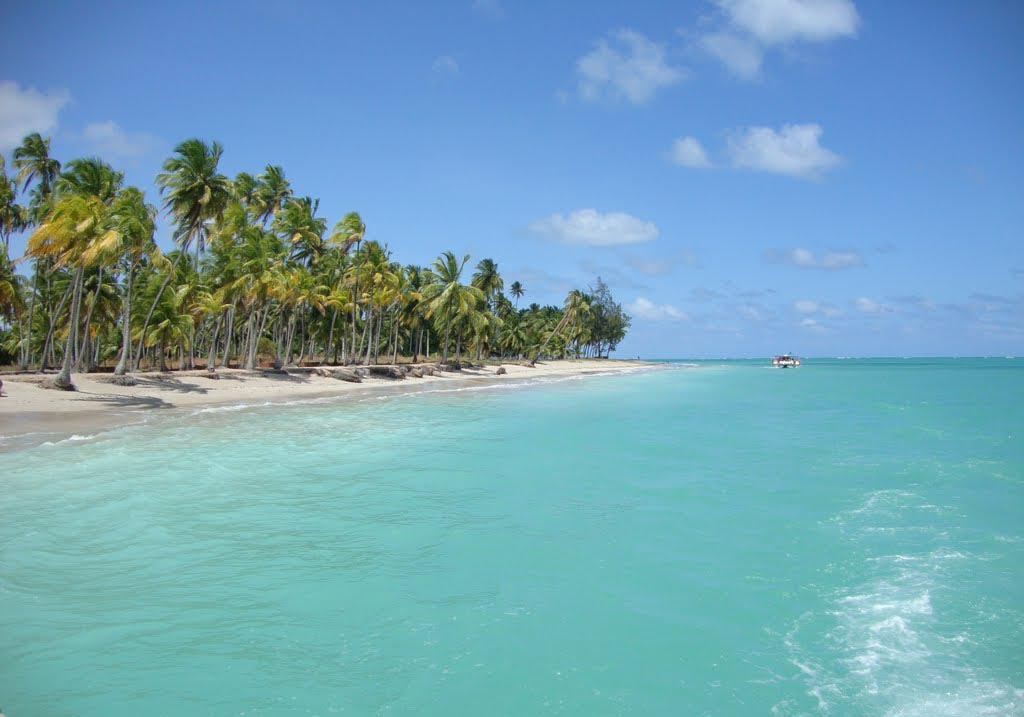 Águas cristalinas de Maragogi